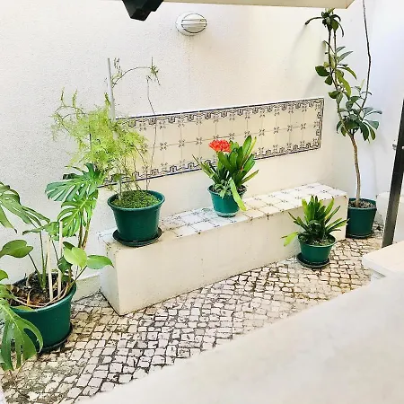 Vila Alfacinha *